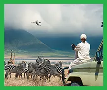 Safari en Tanzanie inoubliable 1